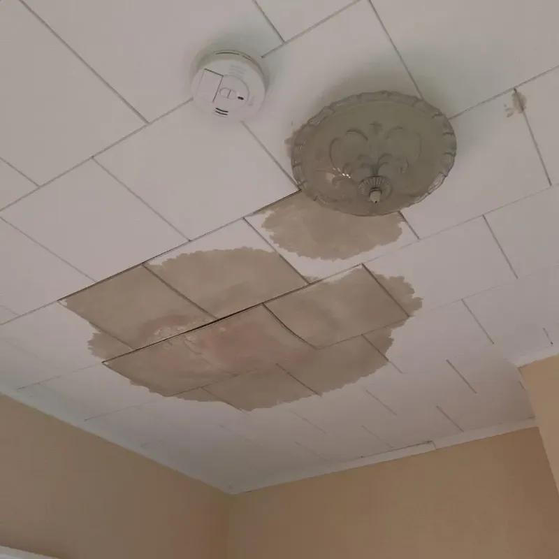 Ceiling Water Damage Repair in South Gull Lake, MI