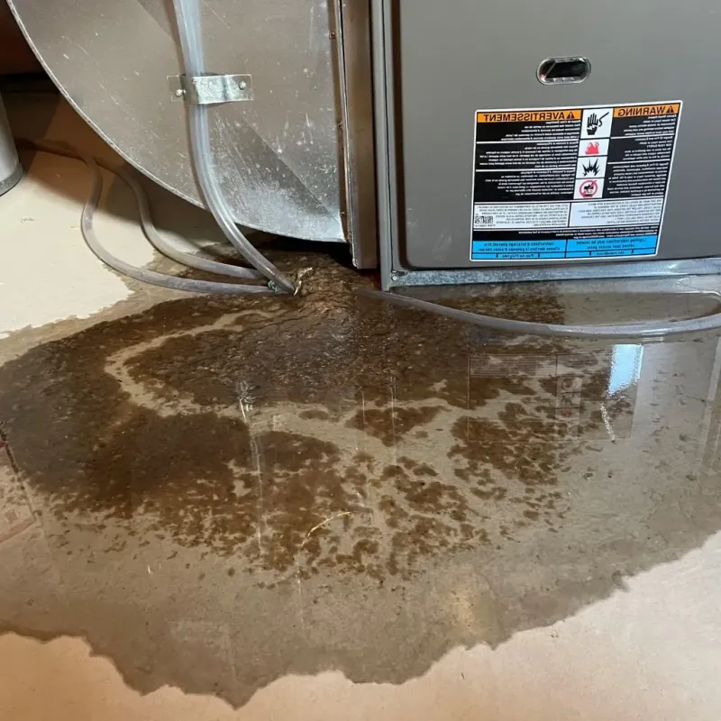 Pipe Burst and Leak Restoration in South Gull Lake, MI