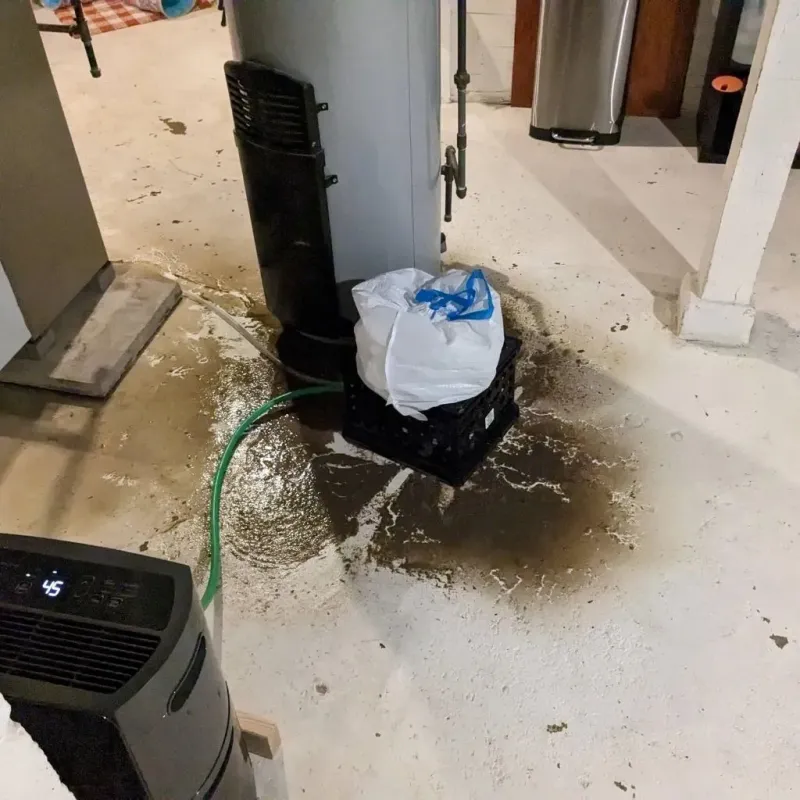 Sewage Backup Cleanup Service in South Gull Lake, MI